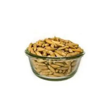 Natural Pine Nuts